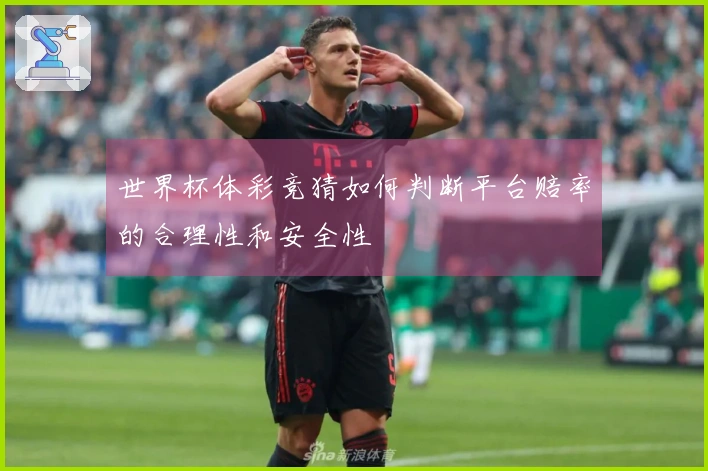 世界杯体彩竞猜如何判断平台赔率的合理性和安全性