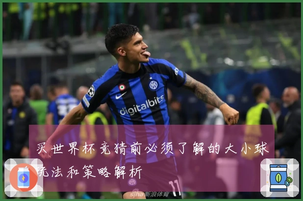 买世界杯竞猜前必须了解的大小球玩法和策略解析