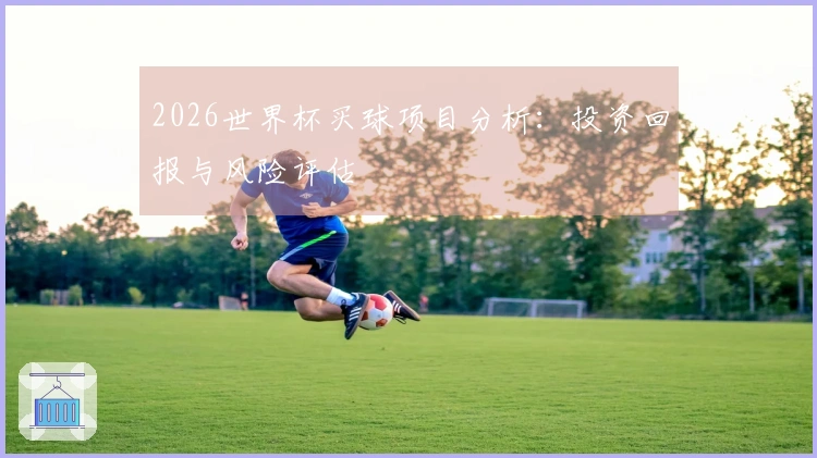 2026世界杯买球项目分析：投资回报与风险评估