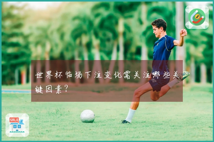 世界杯临场下注变化需关注哪些关键因素？