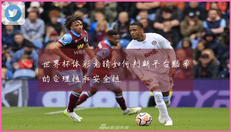 世界杯体彩竞猜如何判断平台赔率的合理性和安全性