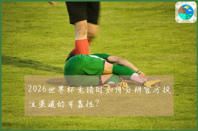 2026世界杯竞猜时如何分辨官方投注渠道的可靠性？