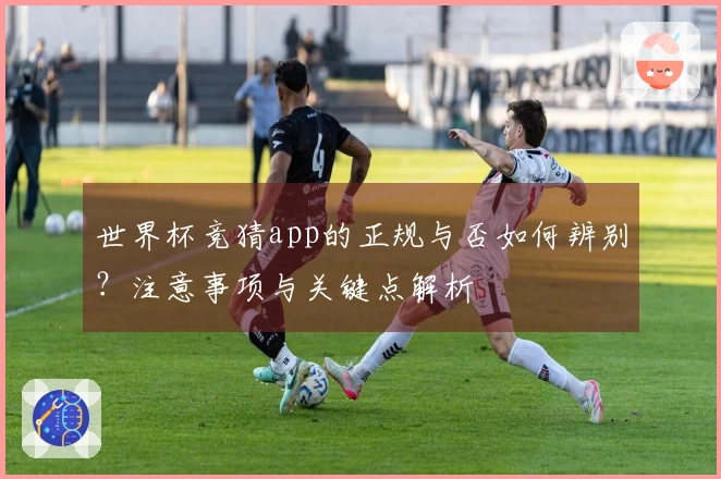 世界杯竞猜app的正规与否如何辨别？注意事项与关键点解析