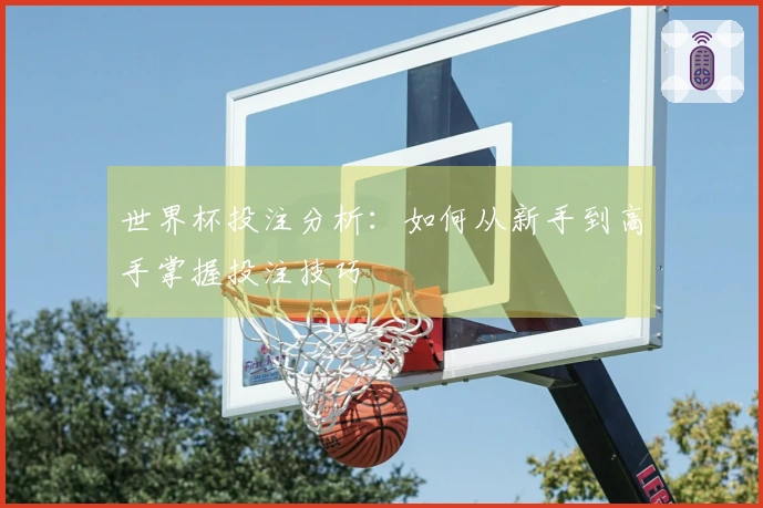 世界杯投注分析：如何从新手到高手掌握投注技巧