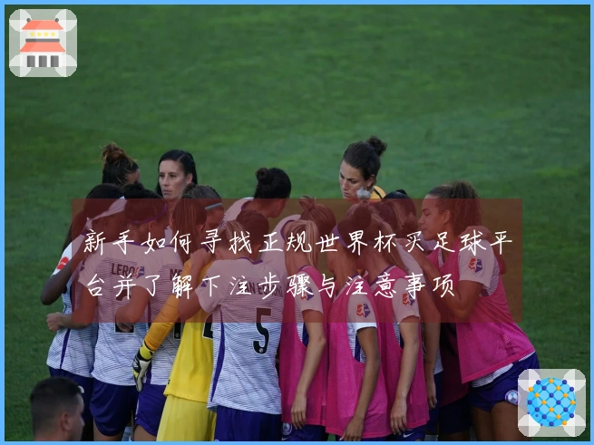 新手如何寻找正规世界杯买足球平台并了解下注步骤与注意事项