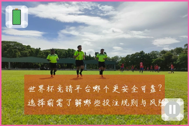世界杯竞猜平台哪个更安全可靠？选择前需了解哪些投注规则与风险？