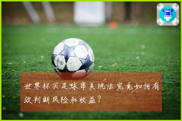 世界杯买足球串关玩法究竟如何有效判断风险和收益？