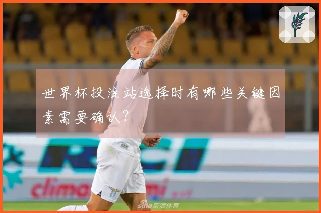 世界杯投注站选择时有哪些关键因素需要确认？