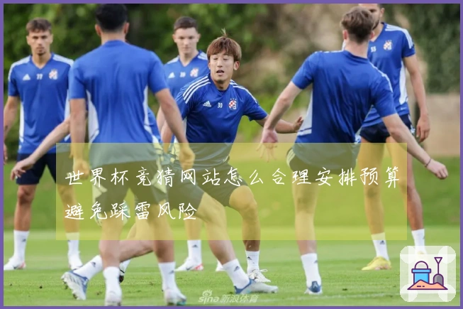 世界杯竞猜网站怎么合理安排预算避免踩雷风险