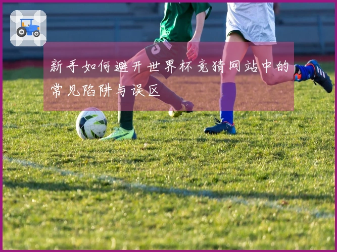 新手如何避开世界杯竞猜网站中的常见陷阱与误区