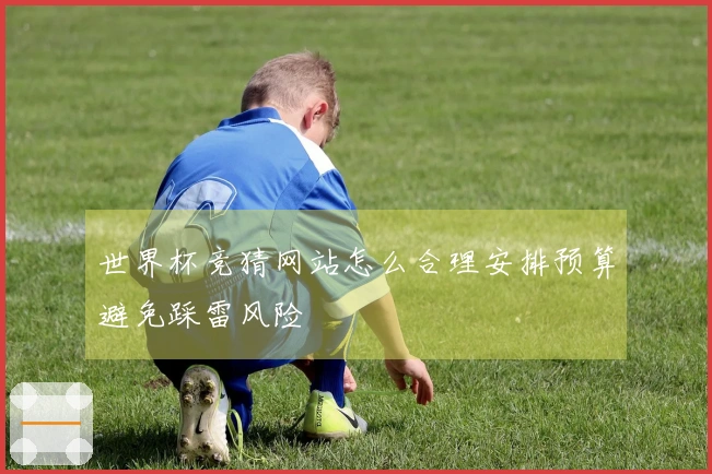 世界杯竞猜网站怎么合理安排预算避免踩雷风险