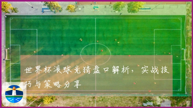世界杯滚球竞猜盘口解析，实战技巧与策略分享