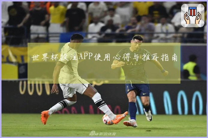 世界杯投注APP使用心得与推荐指南