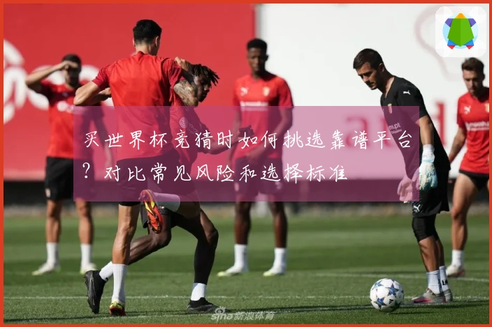 买世界杯竞猜时如何挑选靠谱平台？对比常见风险和选择标准