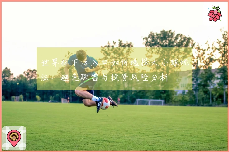 世界杯下注入口如何选择大小球玩法，避免踩雷与投资风险分析