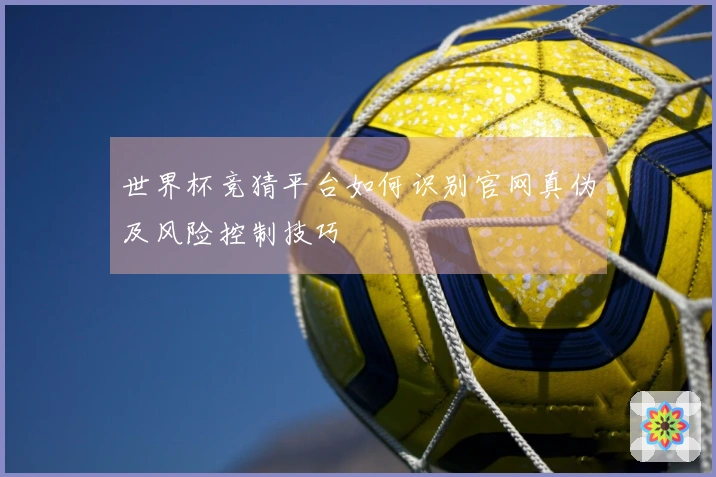 世界杯竞猜平台如何识别官网真伪及风险控制技巧