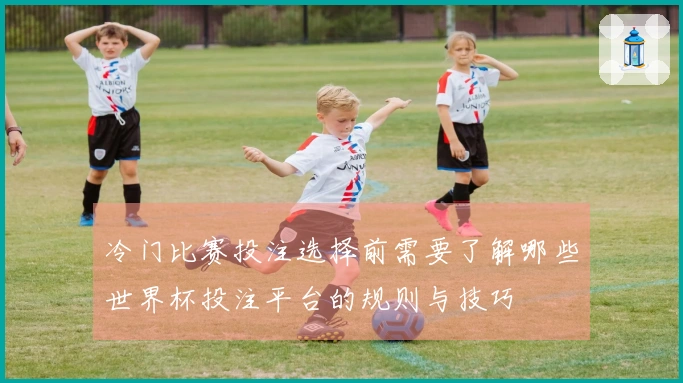 冷门比赛投注选择前需要了解哪些世界杯投注平台的规则与技巧