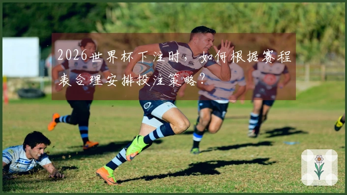 2026世界杯下注时，如何根据赛程表合理安排投注策略？