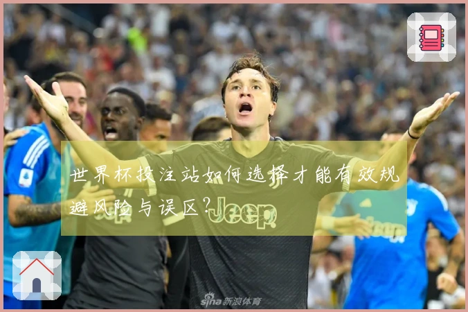 世界杯投注站如何选择才能有效规避风险与误区？