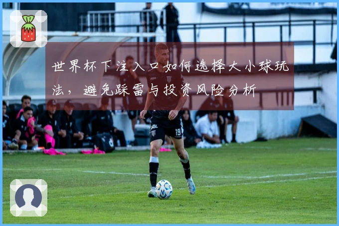 世界杯下注入口如何选择大小球玩法，避免踩雷与投资风险分析