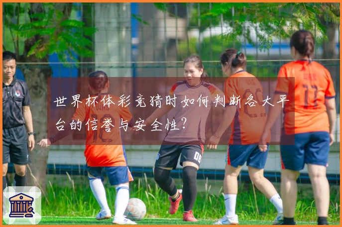 世界杯体彩竞猜时如何判断各大平台的信誉与安全性？