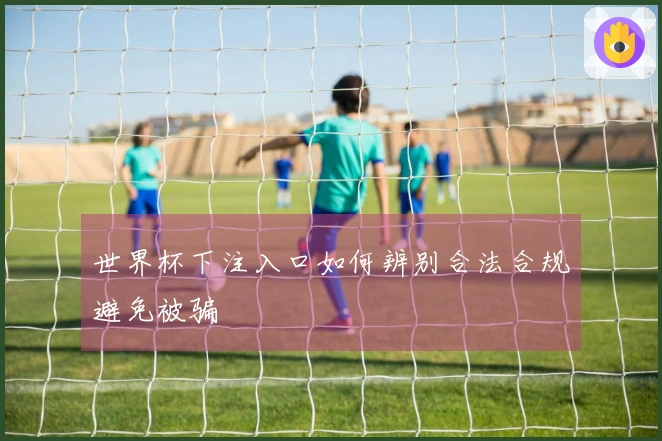 世界杯下注入口如何辨别合法合规避免被骗
