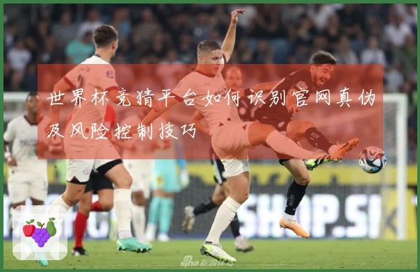 世界杯竞猜平台如何识别官网真伪及风险控制技巧