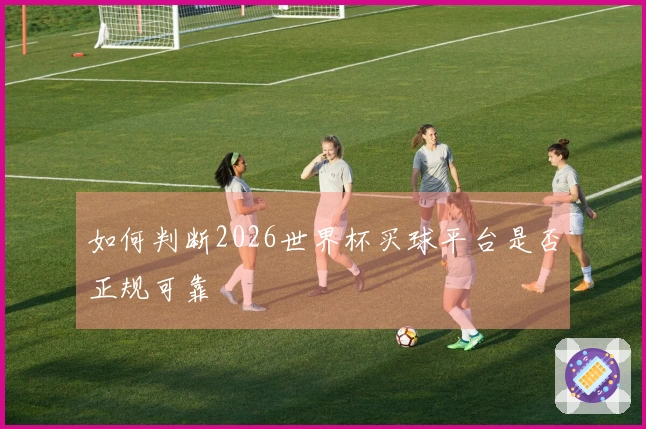 如何判断2026世界杯买球平台是否正规可靠