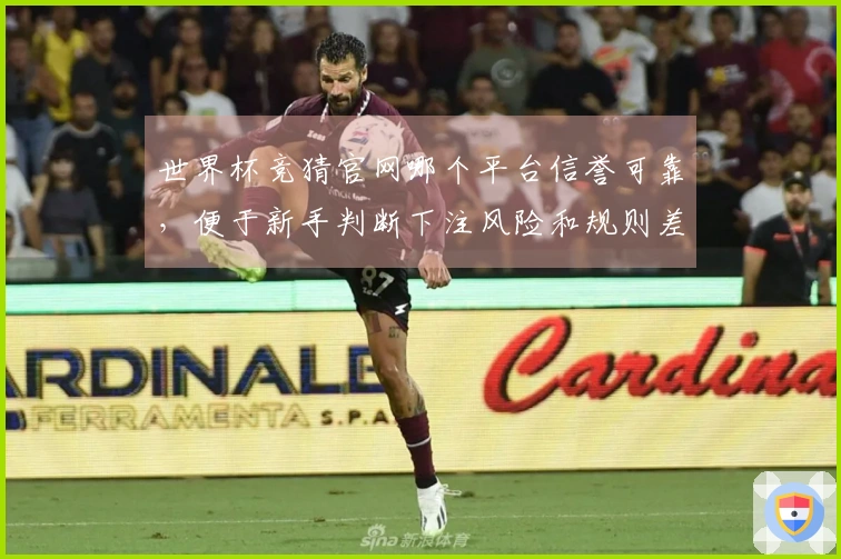 世界杯竞猜官网哪个平台信誉可靠，便于新手判断下注风险和规则差异