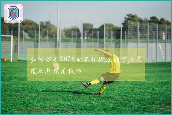 如何识别2026世界杯投注的官方渠道及其使用技巧
