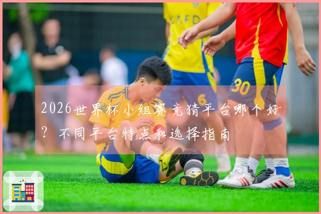 2026世界杯小组赛竞猜平台哪个好？不同平台特点和选择指南