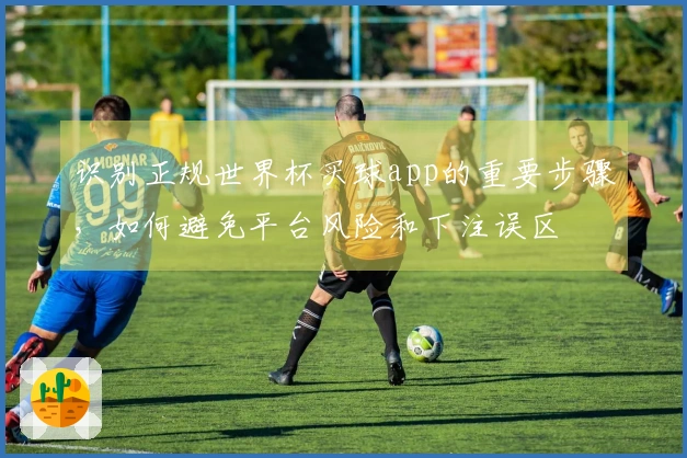 识别正规世界杯买球app的重要步骤，如何避免平台风险和下注误区