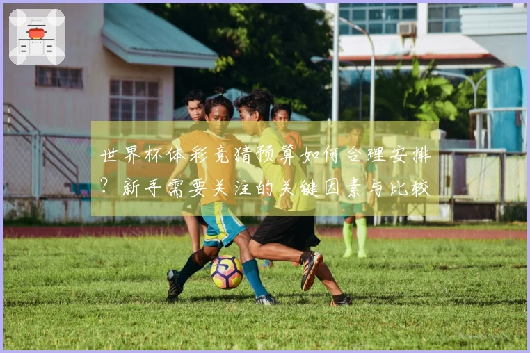 世界杯体彩竞猜预算如何合理安排？新手需要关注的关键因素与比较分析