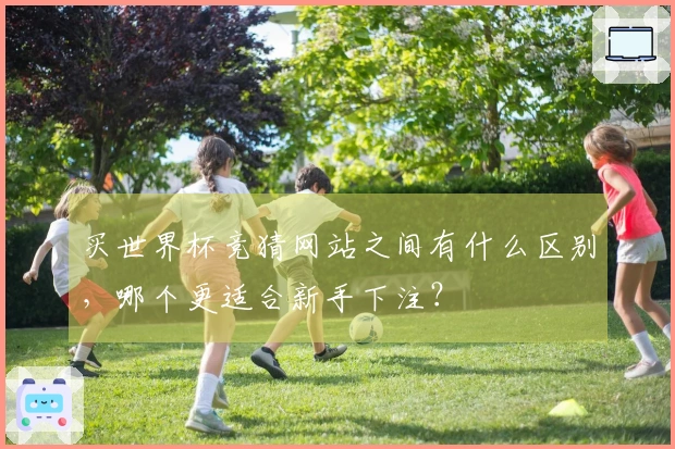买世界杯竞猜网站之间有什么区别，哪个更适合新手下注？