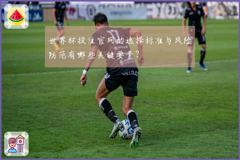 世界杯投注官网的选择标准与风险防范有哪些关键要素？