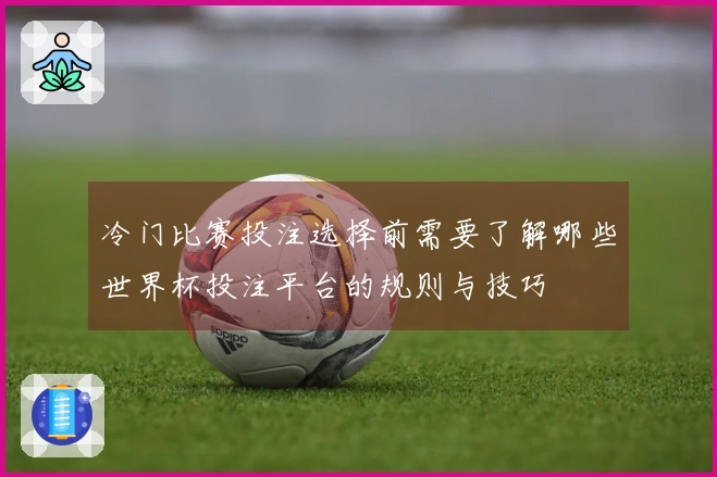 冷门比赛投注选择前需要了解哪些世界杯投注平台的规则与技巧