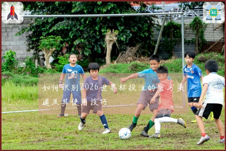 如何识别2026世界杯投注的官方渠道及其使用技巧