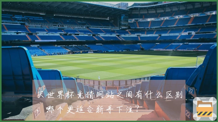 买世界杯竞猜网站之间有什么区别，哪个更适合新手下注？
