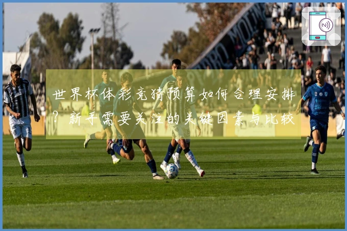 世界杯体彩竞猜预算如何合理安排？新手需要关注的关键因素与比较分析
