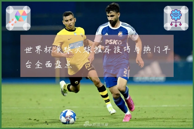 世界杯滚球买球推荐技巧与热门平台全面盘点