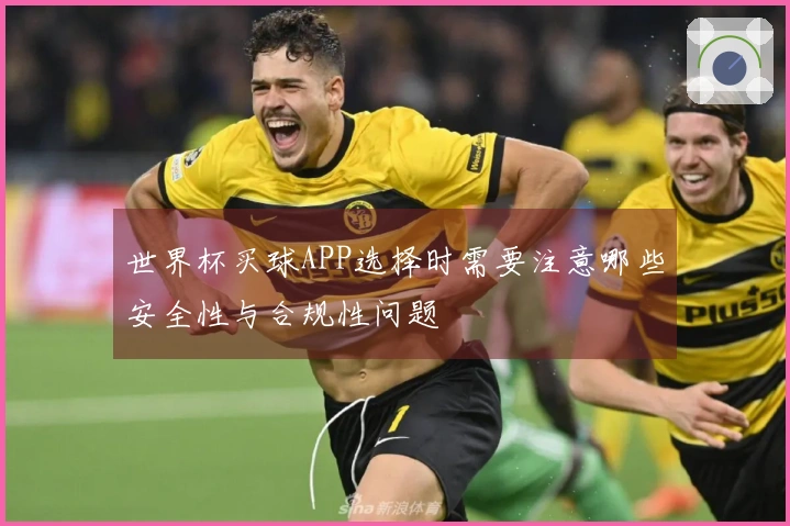 世界杯买球APP选择时需要注意哪些安全性与合规性问题