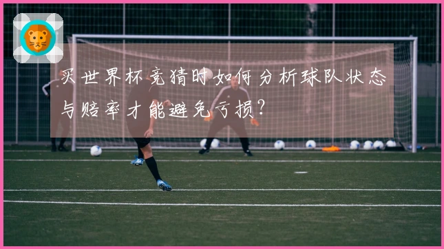 买世界杯竞猜时如何分析球队状态与赔率才能避免亏损？
