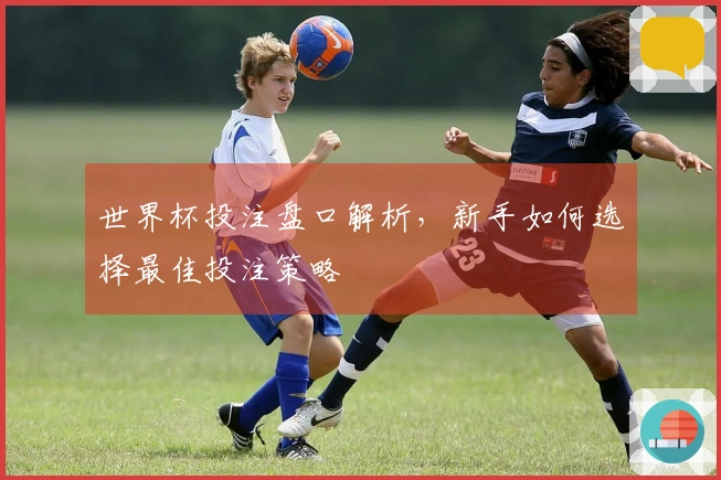 世界杯投注盘口解析，新手如何选择最佳投注策略