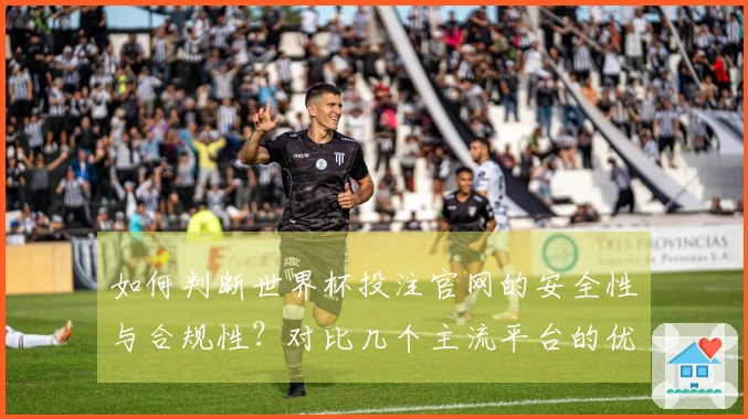 如何判断世界杯投注官网的安全性与合规性？对比几个主流平台的优缺点