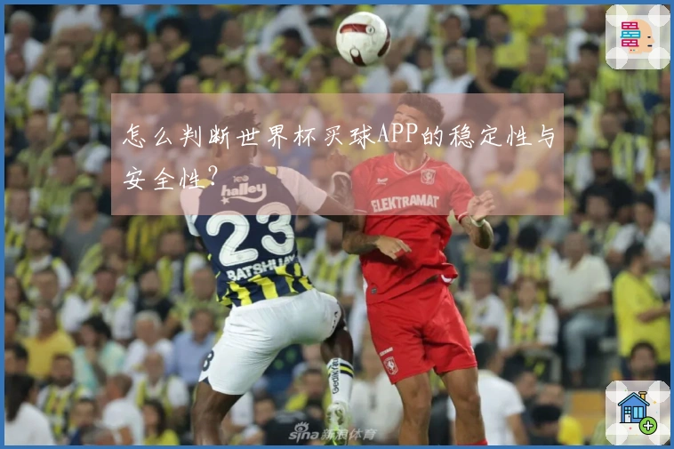 怎么判断世界杯买球APP的稳定性与安全性？