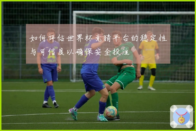 如何评估世界杯竞猜平台的稳定性与可信度以确保安全投注