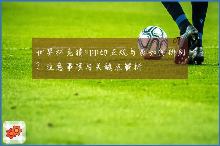 世界杯竞猜app的正规与否如何辨别？注意事项与关键点解析