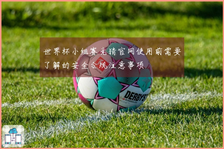 世界杯小组赛竞猜官网使用前需要了解的安全合规注意事项