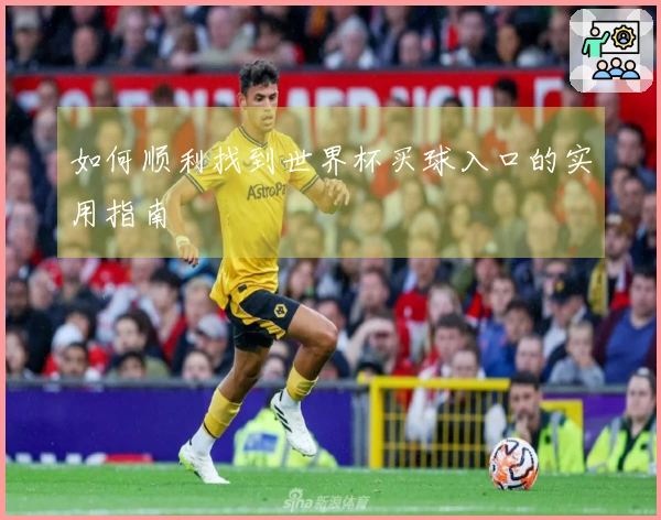 如何顺利找到世界杯买球入口的实用指南