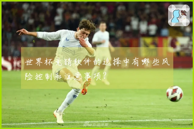 世界杯竞猜软件的选择中有哪些风险控制和注意事项？